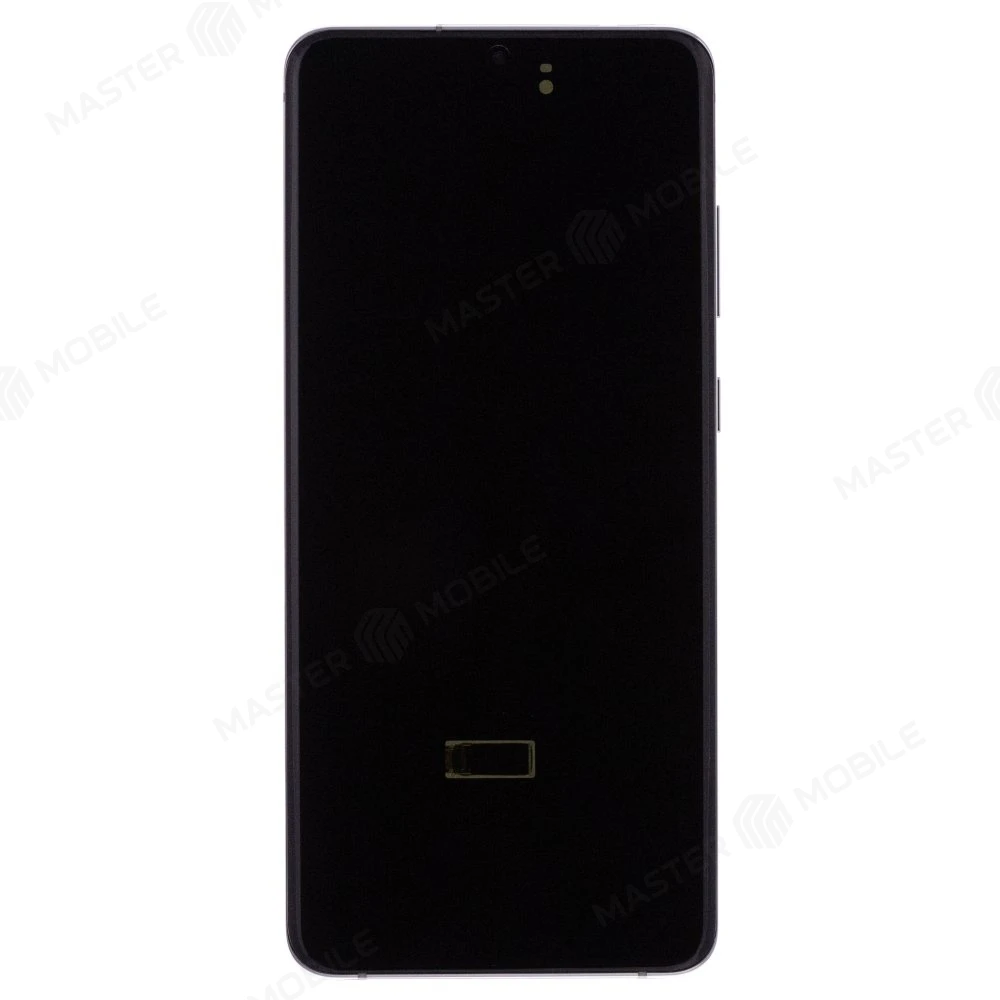 Дисплей для Samsung G988 Galaxy S20 Ultra + тачскрин (серебристый) (в рамке) (ORIG100) (SP)