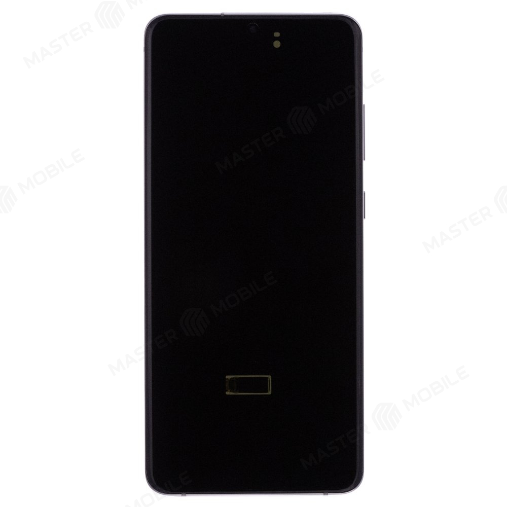 Дисплей для Samsung G988 Galaxy S20 Ultra (в сборе с тачскрином) (серебристый) (в рамке) (ORIG100)